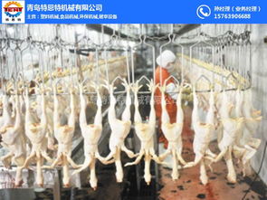 鸡脱毛机价格解析与特恩特品牌介绍