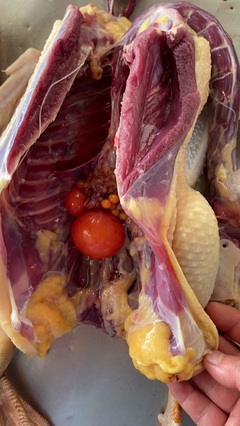 大玉儿家禽食品 盐城家禽销售的优质选择