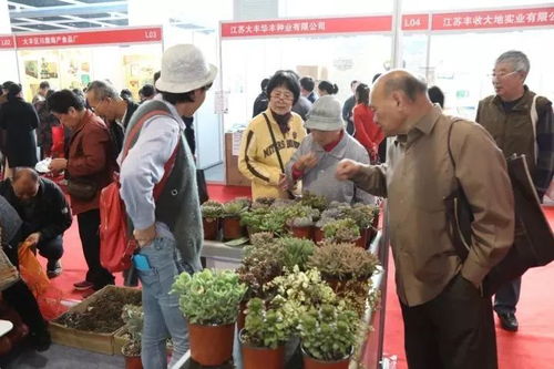盐城家禽抢购一空，凌晨补货盼顾客再来